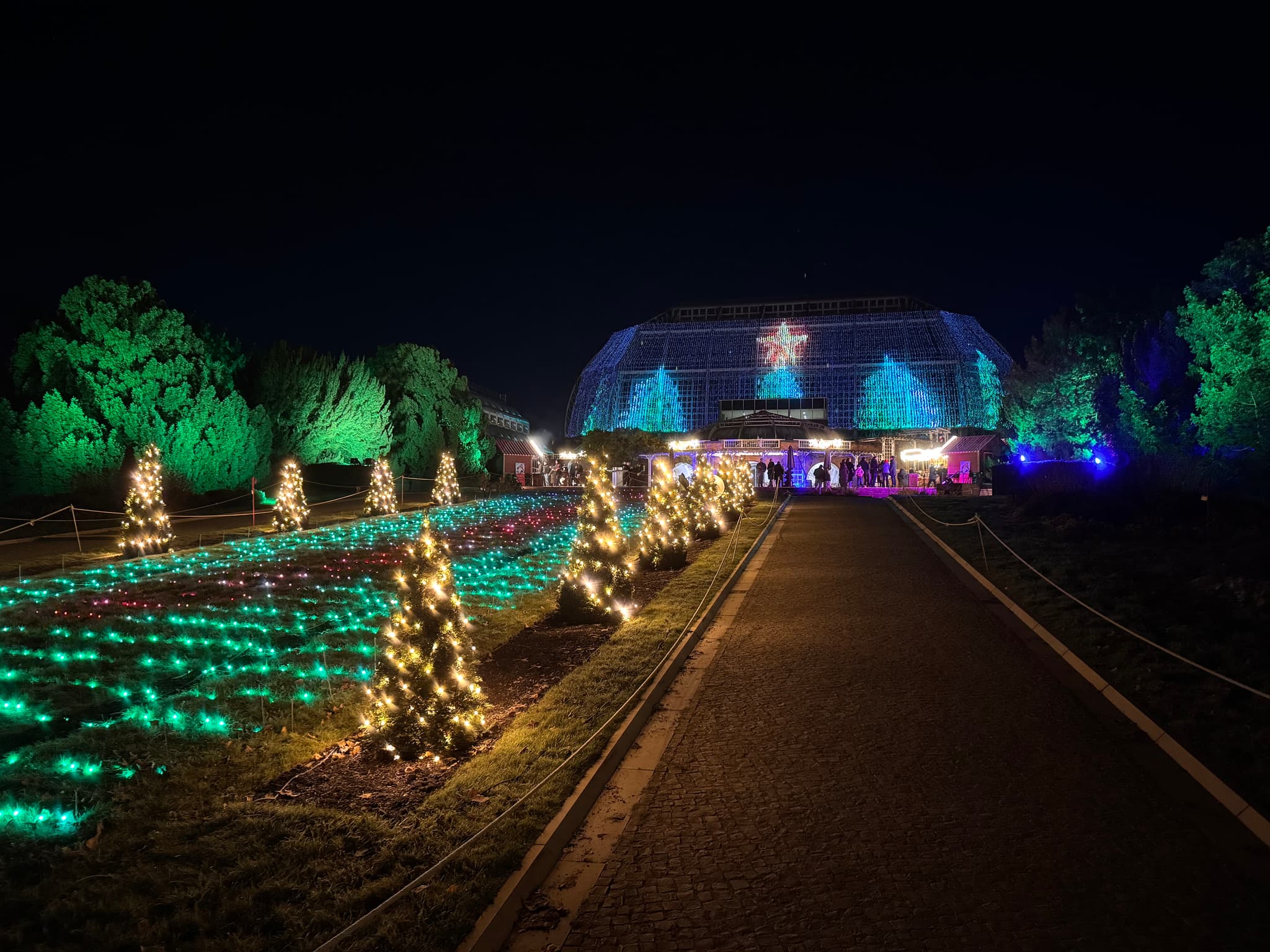 Berlin Botanik Bahçesi’ndeki Großes Tropenhaus binası, Christmas Garden etkinliği sırasında renkli ışıklarla aydınlatılmış şekilde görülüyor. Ön planda küçük Noel ağaçları ve ışıklarla süslenmiş bir yol yer alıyor.