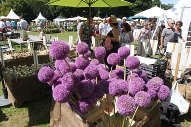 Gartenfest in der Villa Lützow 2025